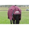 Weatherbeeta Comfitec Essential Turnout Combo 50G