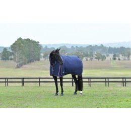 Weatherbeeta Comfitec Essential попона Combo 220G