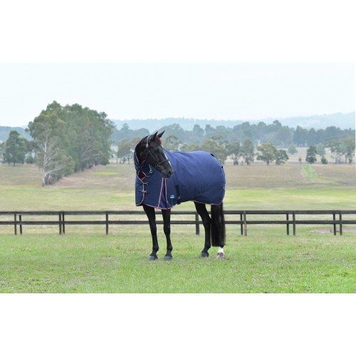 Weatherbeeta Comfitec Essential Turnout Combo 220G
