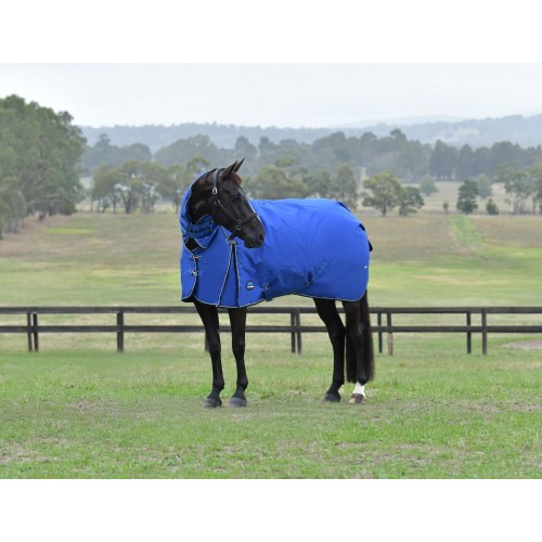 Weatherbeeta Comfitec Essential Turnout Combo 220G
