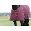 Weatherbeeta Comfitec Essential Turnout 220G