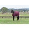 Weatherbeeta Comfitec Essential Turnout 220G