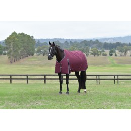 Weatherbeeta Comfitec Essential попона 220G