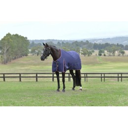 Weatherbeeta Comfitec Essential попона 220G