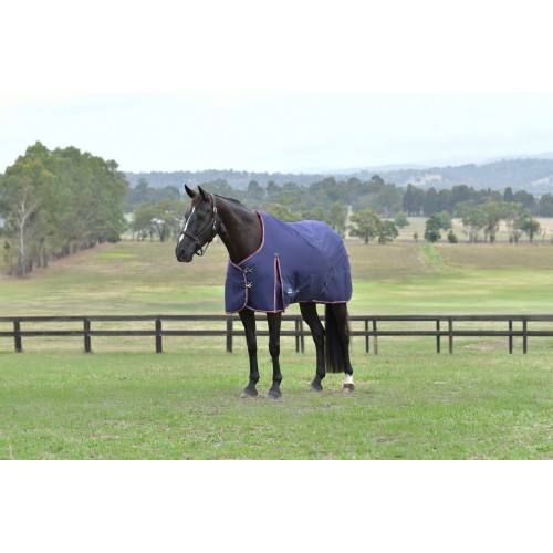 Weatherbeeta Comfitec Essential Turnout 220G