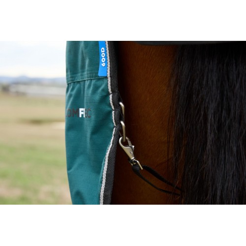 Weatherbeeta Comfitec Classic Turnout Combo 220G