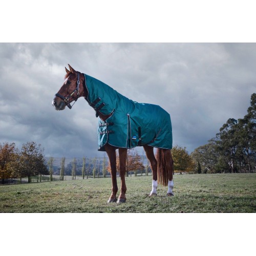 Weatherbeeta Comfitec Classic Turnout Combo 220G