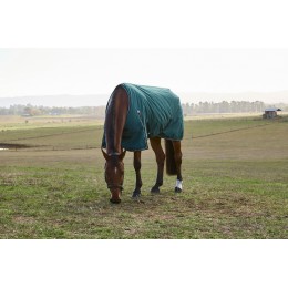 Weatherbeeta Comfitec Classic попона 220G