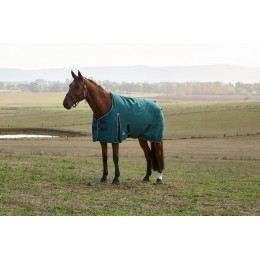 Weatherbeeta Comfitec Classic попона 220G