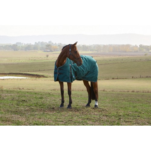 Weatherbeeta Comfitec Classic Turnout 50G