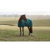 Weatherbeeta Comfitec Classic Turnout 220G