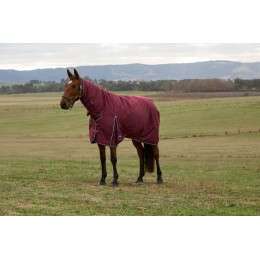 Weatherbeeta Comfitec Prelim попона Combo 0G