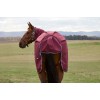 Weatherbeeta Comfitec Prelim Turnout Combo 0G