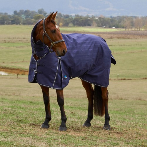 Weatherbeeta Comfitec Prelim Turnout Combo