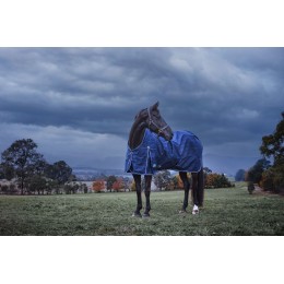 Weatherbeeta Comfitec Prelim попона 220G