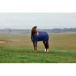 Weatherbeeta Comfitec Tyro попона Standard капор 50G