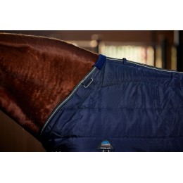 Weatherbeeta Comfitec Pp Channel Quilt денниковый Detach-A-капор 220G