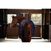Weatherbeeta Comfitec Pp Channel Quilt Stable Detach-A-Neck 220G