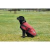 Weatherbeeta Comfitec Classic Waterproof Dog Coat