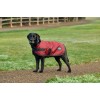 Weatherbeeta Comfitec Classic Waterproof Dog Coat