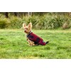 Weatherbeeta Comfitec Classic Waterproof Dog Coat