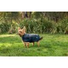 Weatherbeeta Comfitec Classic Waterproof Dog Coat