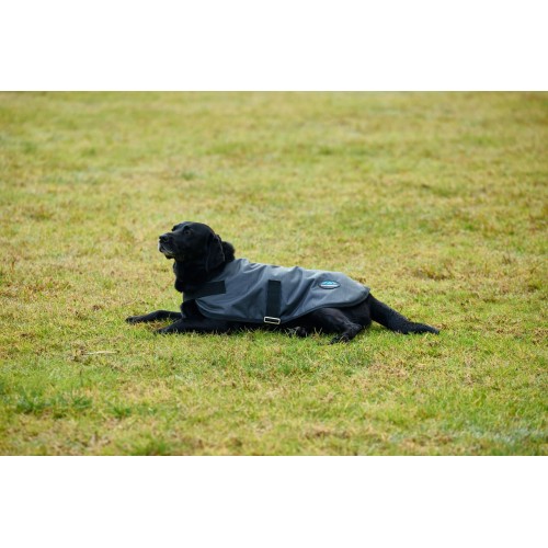Weatherbeeta Comfitec Classic Waterproof Dog Coat