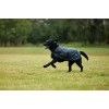 Weatherbeeta Comfitec Classic Waterproof Dog Coat