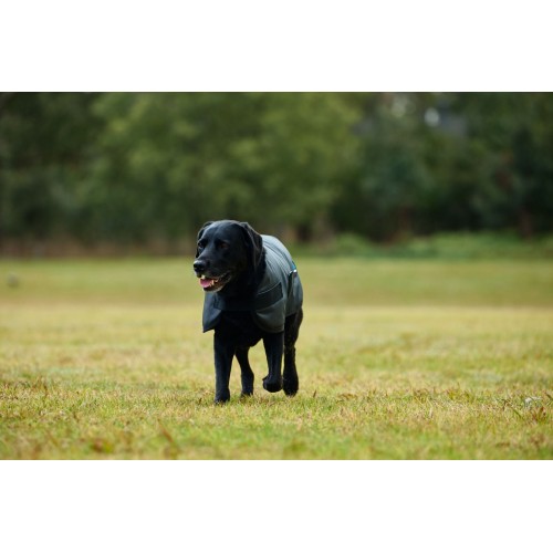 Weatherbeeta Comfitec Classic Waterproof Dog Coat