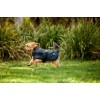 Weatherbeeta Comfitec Classic Waterproof Dog Coat