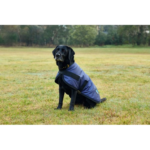 Weatherbeeta Comfitec Classic Waterproof Dog Coat