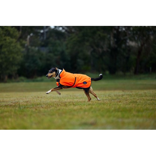 Weatherbeeta Comfitec Reflective 300D Deluxe Showerproof Dog Coat