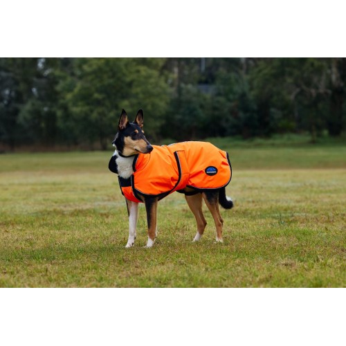 Weatherbeeta Comfitec Reflective 300D Deluxe Showerproof Dog Coat