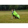 Weatherbeeta Comfitec Reflective 300D Deluxe Showerproof Dog Coat