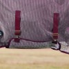Weatherbeeta Comfitec Ripshield Fly Sheet Detach-A-Neck