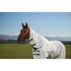 Weatherbeeta Comfitec Tyro Fly Sheet Combo