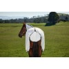 Weatherbeeta Comfitec Tyro Fly Sheet Combo
