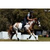 Weatherbeeta Suede Elite Air-Tec Jumping Saddlepad