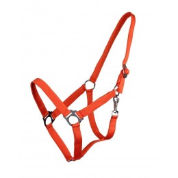 Q-essentials недоуздок Slider Orange