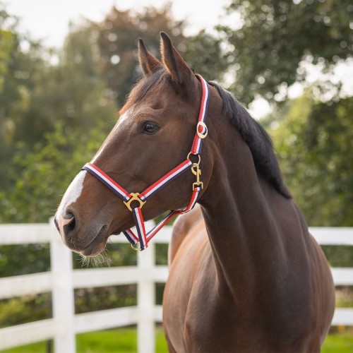 QHP Halter Red / White / Blue