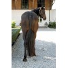 Covalliero Tail Guard with ring