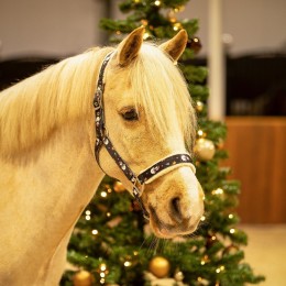QHP Head воротник Christmas