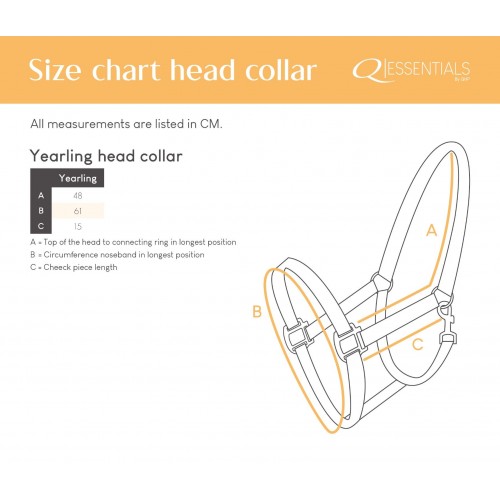 Q-essentials Yearling Halter