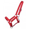 Q-essentials Yearling Halter