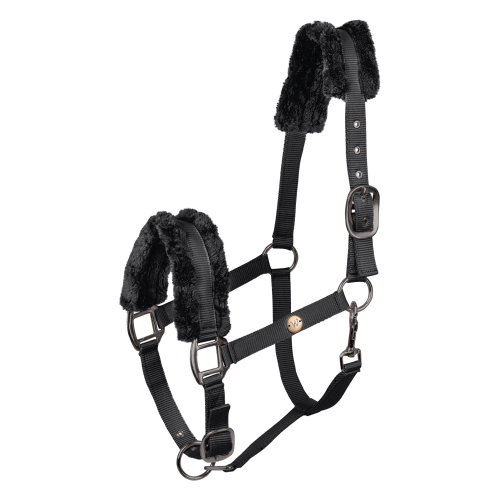 Waldhausen Halter modern rosé