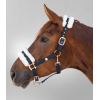 Waldhausen Halter modern rosé