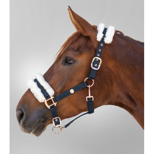 Waldhausen Halter modern rosé