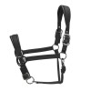 ARMA Pro Padded Headcollar