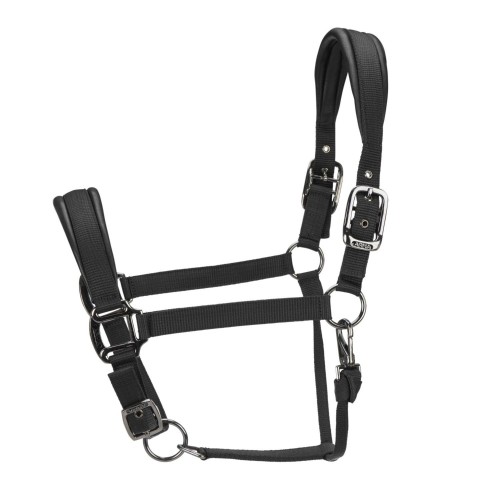 ARMA Pro Padded Headcollar