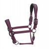 ARMA Pro Padded Headcollar